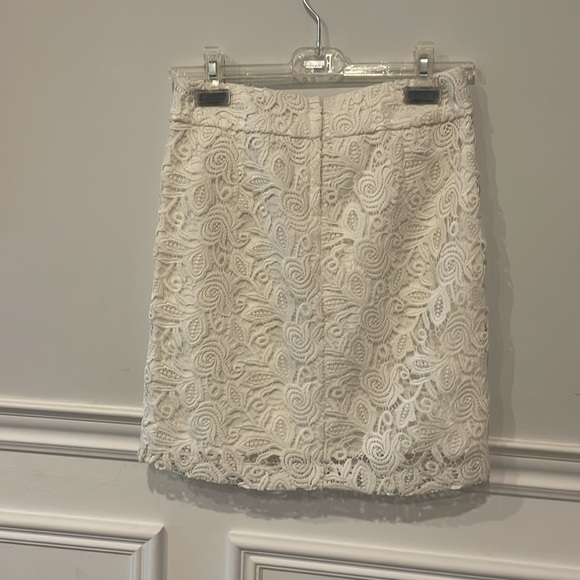 Lace Skirt - Picture 3 of 3